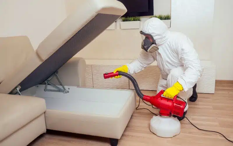 Home Pest Control A Comprehensive Guide to Keep Your Property Pest Free